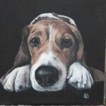 hond 25x25cm