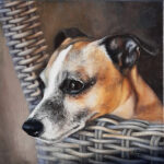 hond 40x40cm