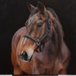 paard 50x50cm